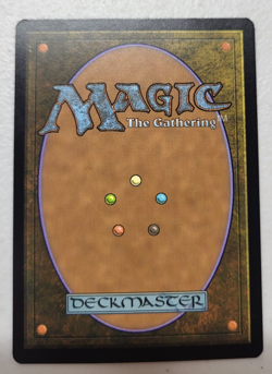 MTG Misty Rainforest Zendikar Rising Expeditions Regular - Image 2