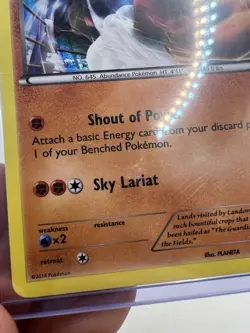 Pokemon Card Landorus 58/111 Furious Fists Rare Holo Foil XY LP 2014 - Image 5