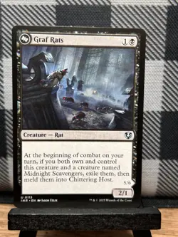MTG TCG: Graf Rats 113, Innistrad Remastered - Image 1