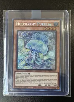 Yugioh Mulcharmy Purulia INFO-EN027 1st Edition Secret Rare NM - Image 1