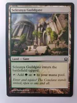 MTG Magic The Gathering Card Selesnya Guildgate Land Gate Return To Ravnica 2012 - Image 1