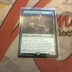 MTG Intrepid Paleontologist The Lost Caverns of Ixalan Regular #0193 - Image 1