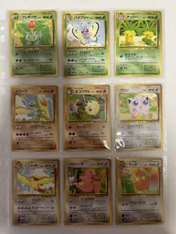 Pokemon Card Complete Southern Island 18 Card Set Japanese - Image 3
