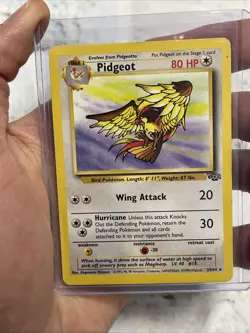 Pokemon Pidgeot #24/64 Non-Holo Rare Unlimited Jungle Set MP/LP Vintage Card TCG - Image 1