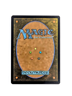 Pain for All R 0337 Extended Art Regular MTG Edge Of Eternities EOE EN NM/M - Image 2