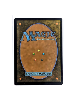 Festering Thicket R 0041 Extended Art Regular MTG Edge Of Eternities EOC EN NM/M - Image 2