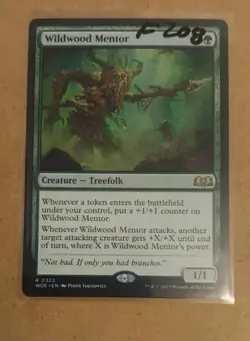 Wildwood Mentor #322 (NM) Wilds of Eldraine WOE Magic MTG - Image 1