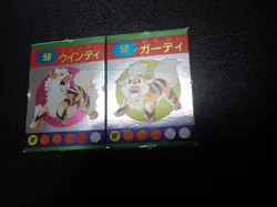 Pokemon Magazine Promo Ginpika Himitsu Mini Card x2 Arcanine Evolutions #5361 - Image 4