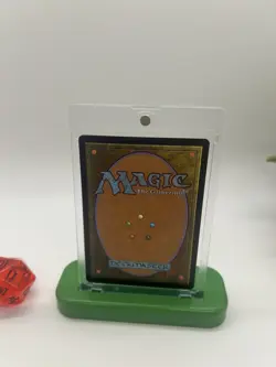 Lush Portico Borderless Foil 0327 MKM NM/MT [Murders at Karlov Manor:MTG] - Image 3