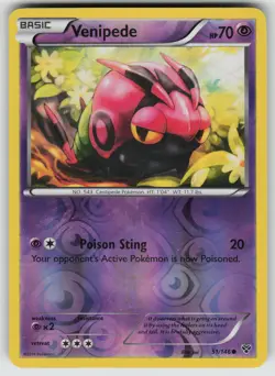 Venipede Reverse Holo Common XY Base Set 51/146 Pokemon - Image 1