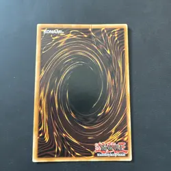 Dark Paladin- DMG-001 Secret Rare Promo-YuGiOh! MP - Image 2