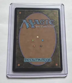 Swamp #272 Bloomburrow Foil Full Art Land MTG NM/M - Image 2