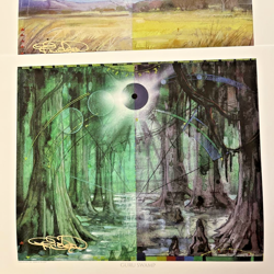 MTG Magic the Gathering Terese Nielsen Guru Land Art Print Set of 5 Signed - Image 4