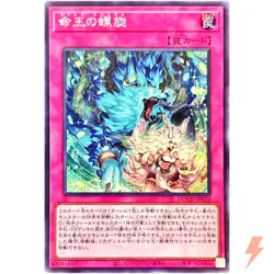 Dominus Spiral - Secret Rare DOOD-JP079 Doom of Dimensions - YuGiOh Japanese OCG - Image 1