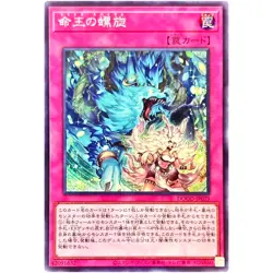Dominus Spiral - Secret Rare DOOD-JP079 Doom of Dimensions - YuGiOh Japanese OCG - Image 2