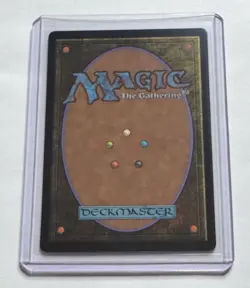 Uncharted Haven #261 Bloomburrow Foil Land MTG NM/M - Image 2