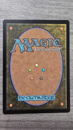 Elegy Acolyte (Rare Borderless) #293 Edge of Eternities MTG NM - Image 2