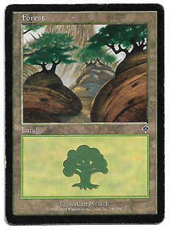 Magic The Gathering MTG Forest - Invasion - BasicLand #349 - Image 1