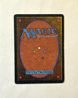 Savannah MTG Revised / 3rd Edition Heavy Play (HP) Dual Land Magic (1) - Image 2