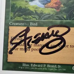 ✅🦜🪄MTG BIRDS OF PARADISE Signed Edward Beard Jr Autograph 7th Magic The📸SEE📸 - Image 3