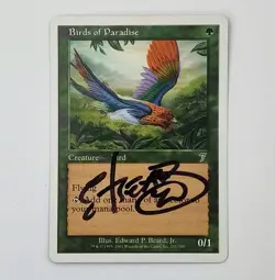 ✅🦜🪄MTG BIRDS OF PARADISE Signed Edward Beard Jr Autograph 7th Magic The📸SEE📸 - Image 1