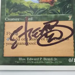 ✅🦜🪄MTG BIRDS OF PARADISE Signed Edward Beard Jr Autograph 7th Magic The📸SEE📸 - Image 3