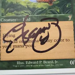 ✅🦜🪄MTG BIRDS OF PARADISE Signed Edward Beard Jr Autograph 7th Magic The📸SEE📸 - Image 3