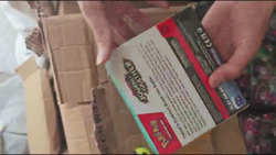 Pokemon SV9 Journey Together Enhanced Booster with Box - Image 2