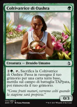 MTG Magic AKH Amonkhet - 1x ITA EX 177 C Coltivatore di Oashra - Image 1