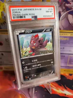 Pokemon Card Zorua BW Promo DARK Rush Black Star Black White Japanese PSA 8 - Image 1