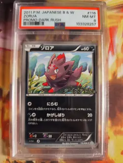 Pokemon Card Zorua BW Promo DARK Rush Black Star Black White Japanese PSA 8 - Image 2