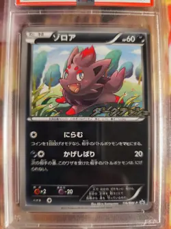 Pokemon Card Zorua BW Promo DARK Rush Black Star Black White Japanese PSA 8 - Image 3