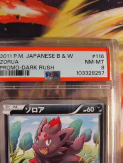 Pokemon Card Zorua BW Promo DARK Rush Black Star Black White Japanese PSA 8 - Image 4