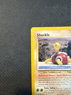 Pokemon TCG Shuckle Neo Revelation Card 51/64 Unlimited Common - Image 2