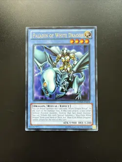 YuGiOh TCG DPKB-EN024 Paladin Of White Dragon - Image 1
