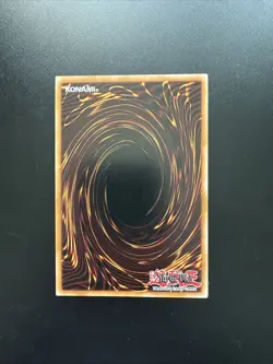 YuGiOh TCG DPKB-EN024 Paladin Of White Dragon - Image 2