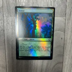 MTG - Forest (278) - Adventures in the Forgotten Realms - Foil - Image 1