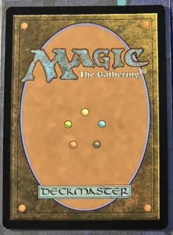 Petrified Field (Borderless Foil) - MTG - Edge of Eternities (0077) - Near Mint - Image 2