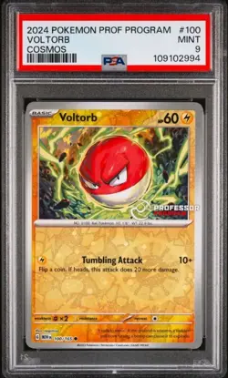 PSA 10 - Mega Charizard X Poncho-Wearing Pikachu 207/XY-P Promo - Pokemon - Image 1