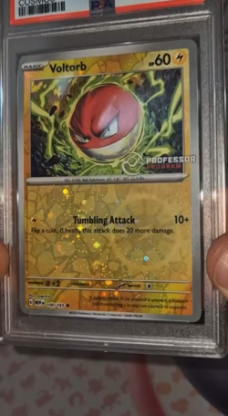 PSA 10 - Mega Charizard X Poncho-Wearing Pikachu 207/XY-P Promo - Pokemon - Image 2