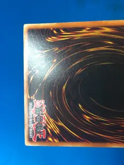 YUGIOH Secret Rare Salamandra DDS-006 PLAYED - Image 5