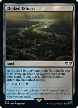 Choked Estuary - 268 / English / Near Mint MTG - Image 1