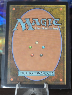 MTG, The Shire Universes Beyond: the Lord of the Rings: Tales of Regular 260 - Image 2