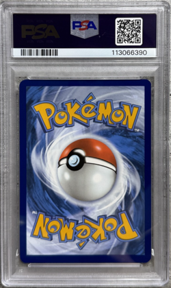 Pokemon Card Skarmory Illustration Rare Holo PSA 9 Mint, SSP #209, 2024 - Image 2