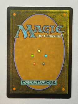 MTG - Secret Lair Everyone's Invited - Morophon the Boundless - Thick Stock FOIL - Image 2