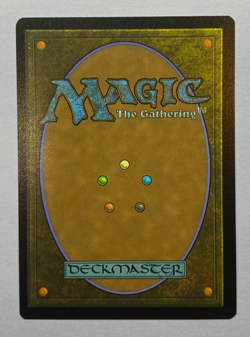 MTG - Secret Lair Everyone's Invited - Raise the Palisade (#1897) - FOIL - Image 2