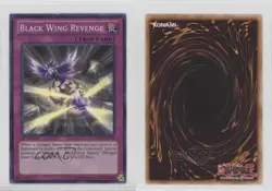 Black Wing Revenge 1st Ed. YuGiOh Dragons of Legend #DRLG-EN031 0w8 - Image 3