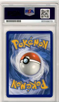 PSA Signed Eric Stuart Pokemon Wartortle 002/034 Trading Card Game Classic Holo - Image 2
