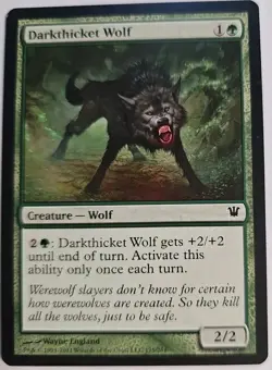 MTG Magic The Gathering Card Darkthicket Wolf Creature Wolf Green Innistrad - Image 1