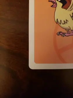 2019 Pokemon Pidgy Old Maid Japanese Red Back Promo Playing Card NM Babanuki - Image 5